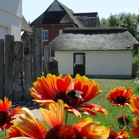 Reethaus Strandgut - Geraeumiges Fh, 5 Schlafzimmer, Sauna Und 3 Terrassen, Balkon * Rerik