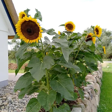 Reethaus Strandgut - Geraeumiges Fh, 5 Schlafzimmer, Sauna Und 3 Terrassen, Balkon Prázdninový dům *
